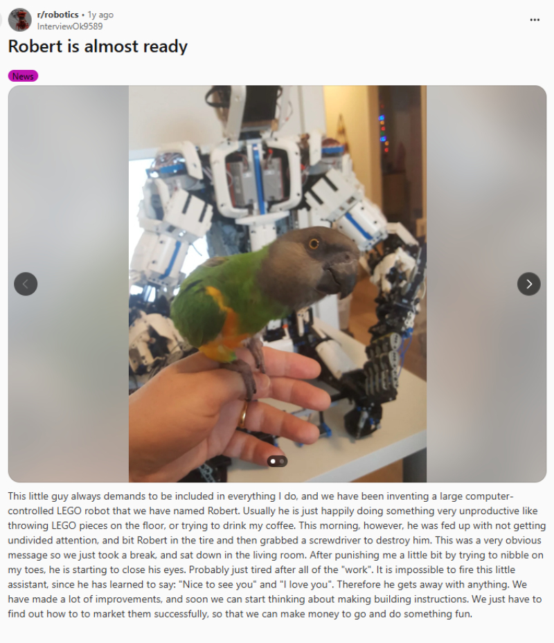 Reddit post showing Robert in the background and a parrot in the foreground.